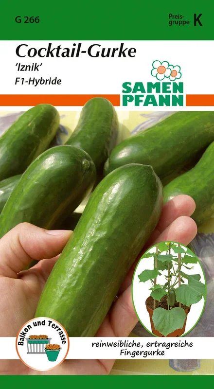Samen Pfann Cocktail-Gurke Iznik