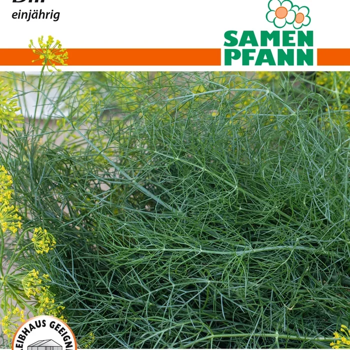 Samen Pfann Dill Einjährig Vorteilspackung