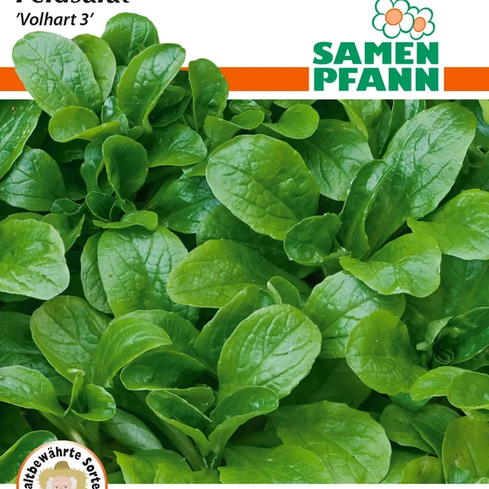 Samen Pfann Feldsalat Volhart 3 Vorteilspackung