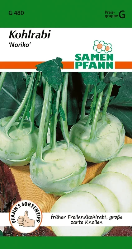 Samen Pfann Kohlrabi Noriko