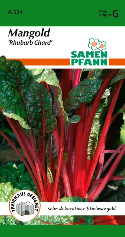 Samen Pfann Rhubarb Chard Mangold