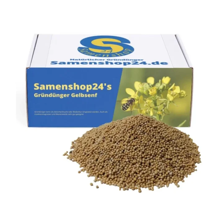 Samenshop24® Gelbsenf, Bodenkur & Gründünger, Premium Saatgut