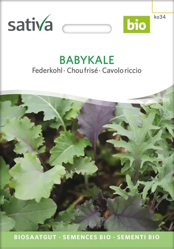 Sativa Bio Federkohl „Babykale“