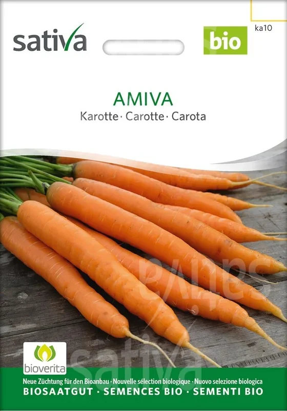 Sativa-Saatgut Amiva-Karotte, BIO Gemüsesamen – Möhren – Amsterdamer Typ – Bundernte, Direktverzehr