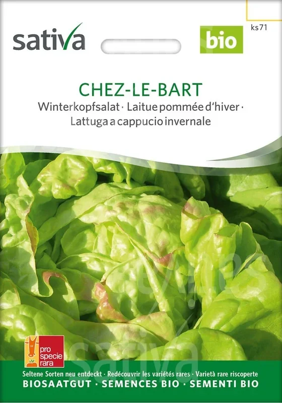 Sativa-Saatgut Chez-le-Bart – Winterkopfsalat Samen