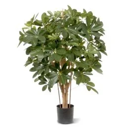 Schefflera Kunstpflanze 80cm