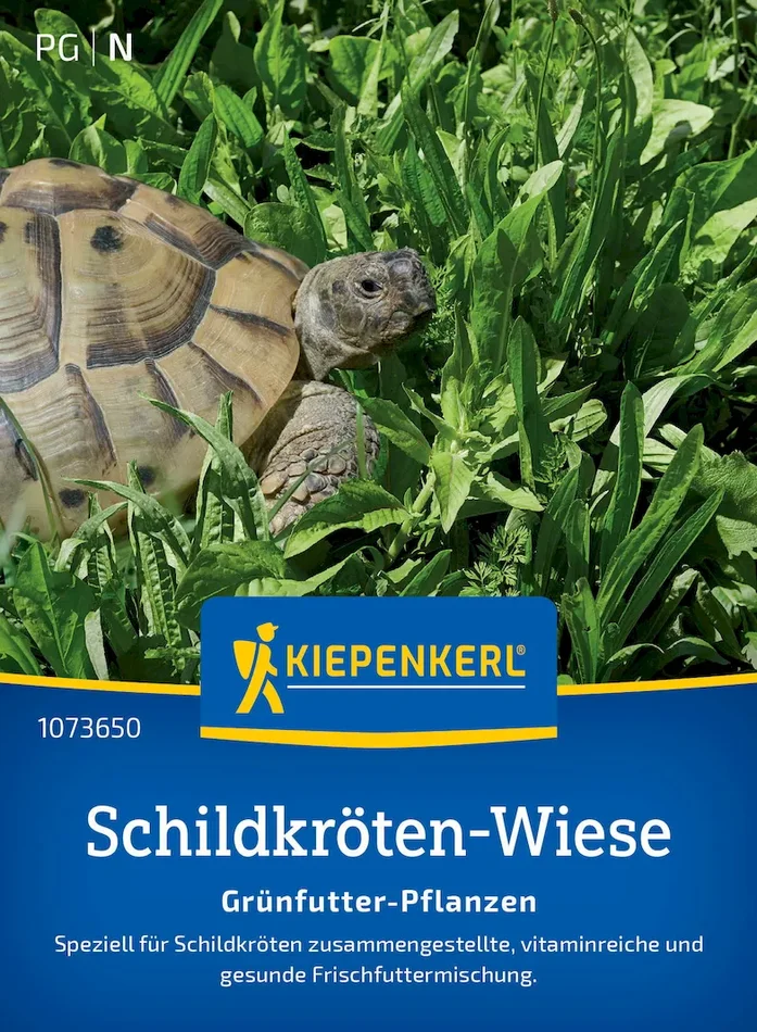 Schildkrötensamen-Mischung Grünfutter-Pflanzen