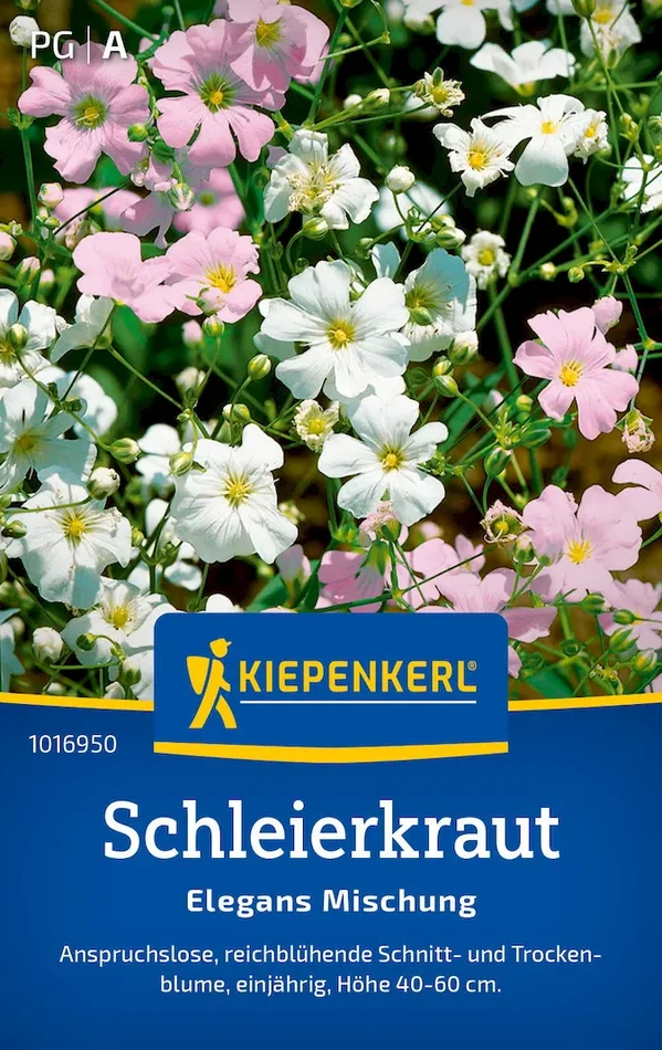 Schleierkrautsamen Elegans Mischung