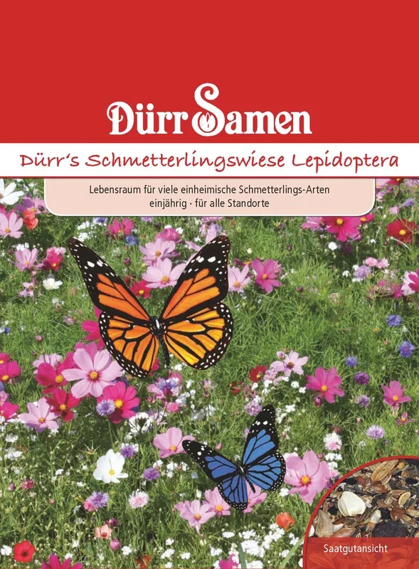 Schmetterlingswiese