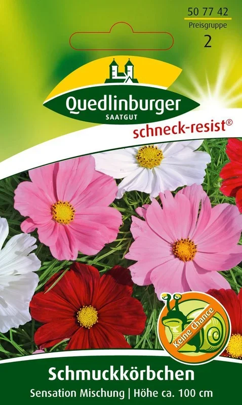 Schmuckkörbchen Sensation Mischung [MHD 01/2025]