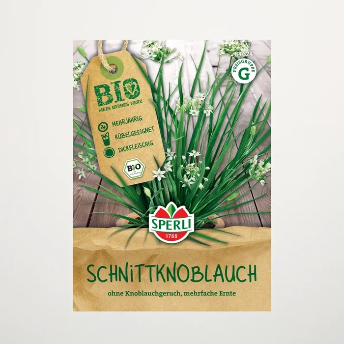 Schnittknoblauch Samen BIO