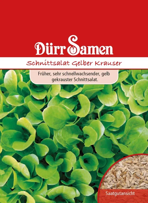 Schnittsalat Gelber Krauser