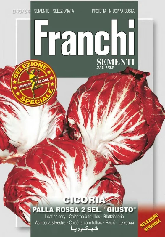 Schnittzichorie Palla Rossa 2 Sel. Giusto [MHD 06/2025]