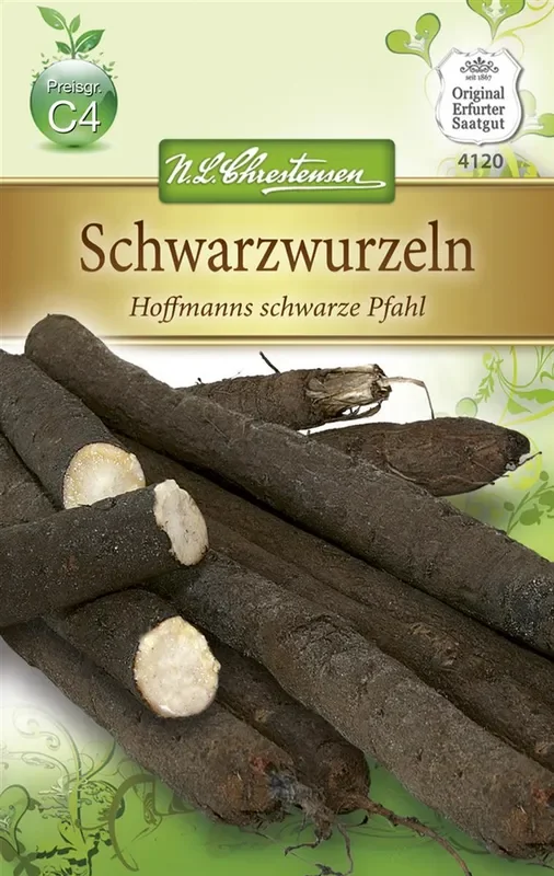 Schwarzwurzelsamen ‚Hoffmanns schwarze Pfahl‘