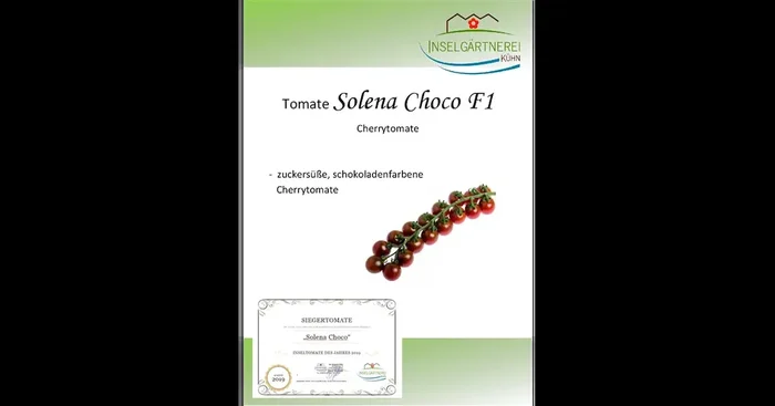 Solena Choco F1