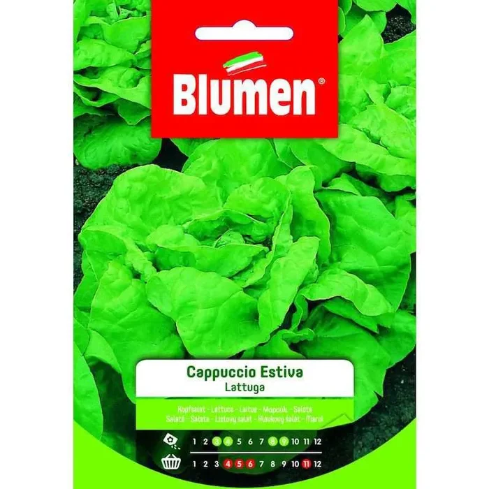 Sommer-Kapuzensalat-Samen im Beutel