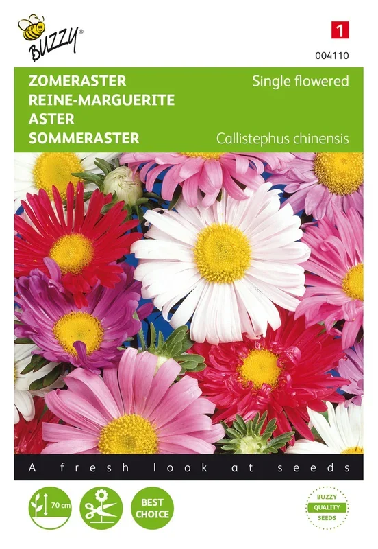 Sommeraster Einfache Mischung