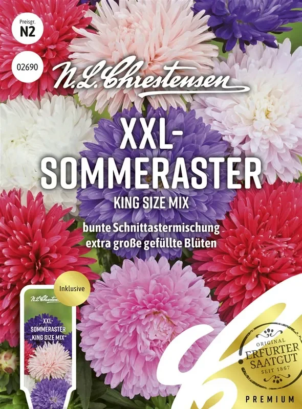 Sommerastersamen ‚King Size Mix‘