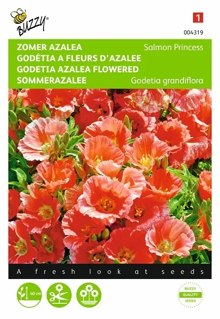 Sommerazalee ‚Salmon princess‘