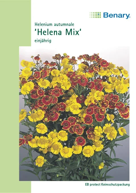 Sonnenbraut Helena Mix