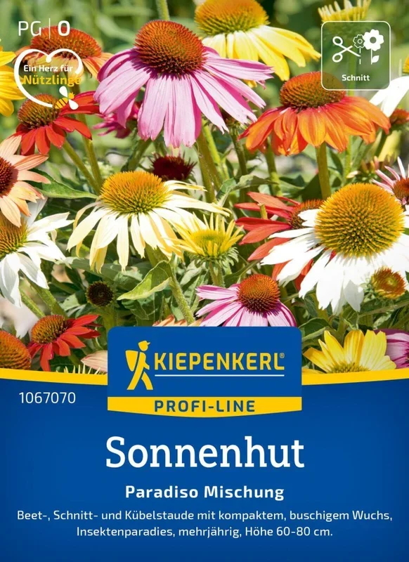 Sonnenhut Paradiso Mischung, Beet-, Schnitt- u Kübelstaude – Insektenparadies – Höhe 60-80 cm