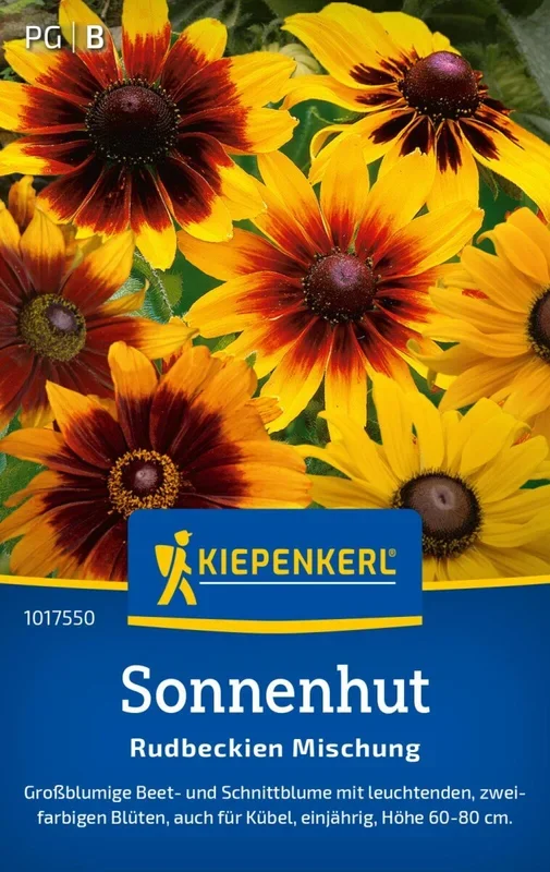 Sonnenhut Rudbeckien Mischung, großblumige Beet- und Schnittblume – auch für Kübel – Höhe 60-80 cm
