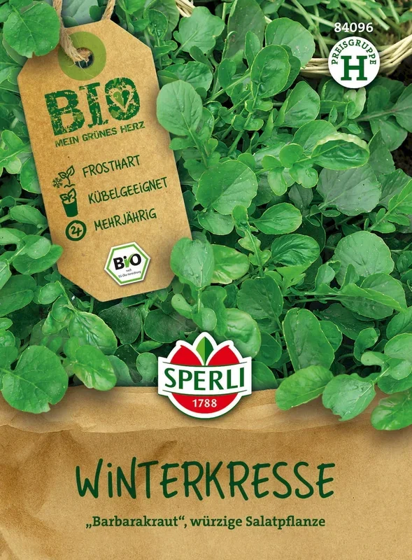 Sperli Bio Winterkresse