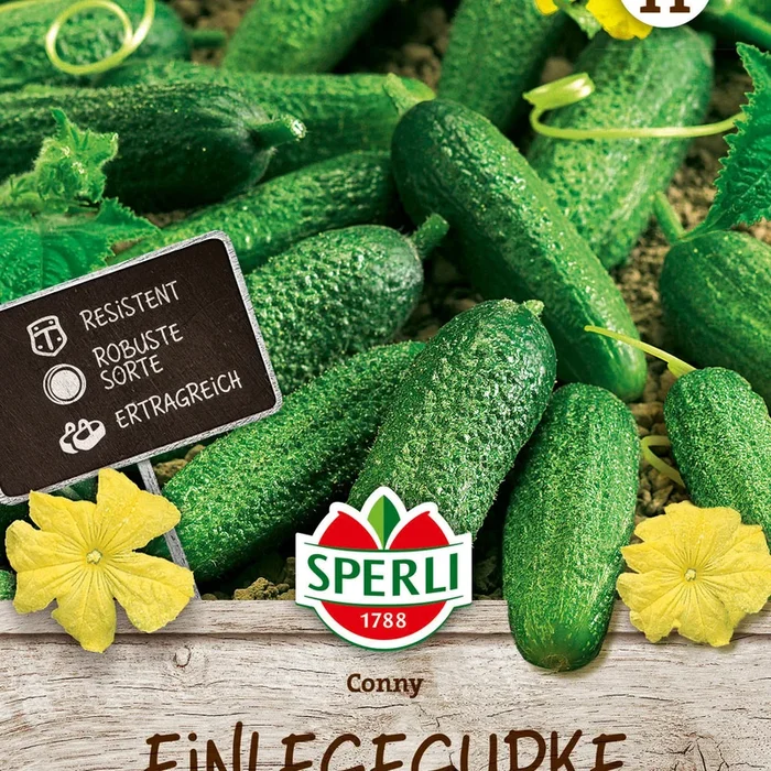 SPERLI Einlegegurke Conny