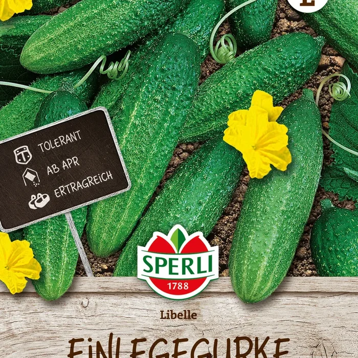 SPERLI Einlegegurke Libelle