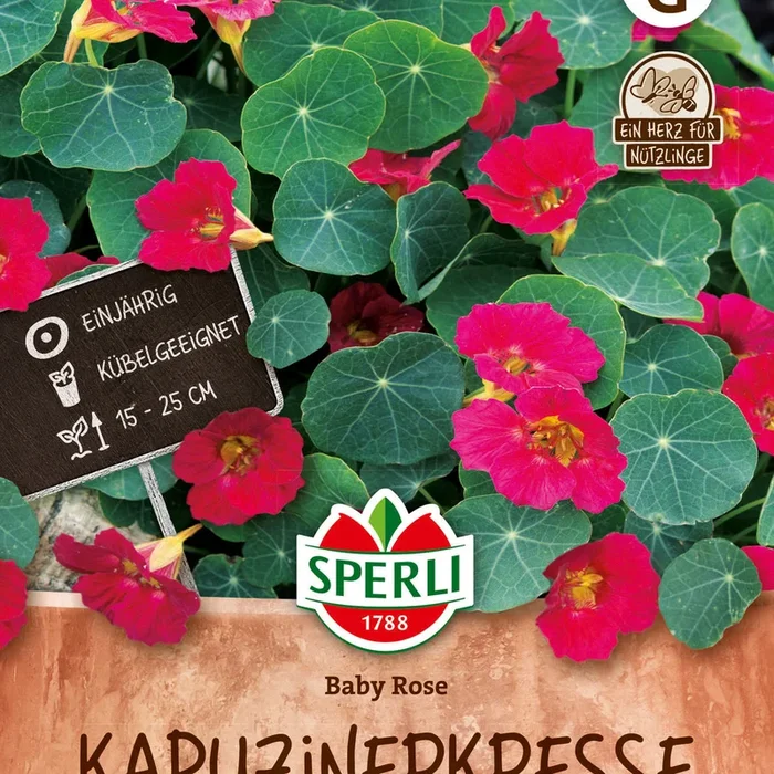 SPERLI Kapuzinerkresse Baby Rose