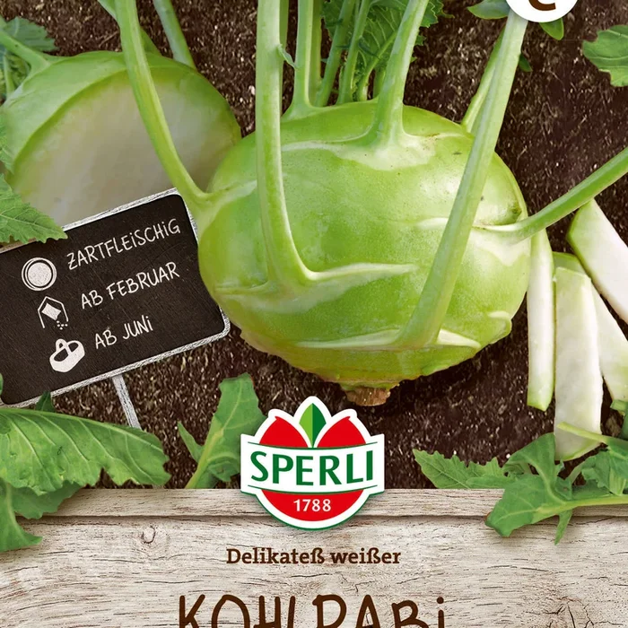 SPERLI Kohlrabi Delikateß weißer