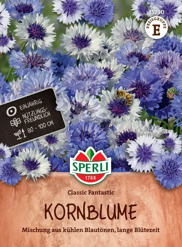 Sperli Kornblume Classic Fantastic