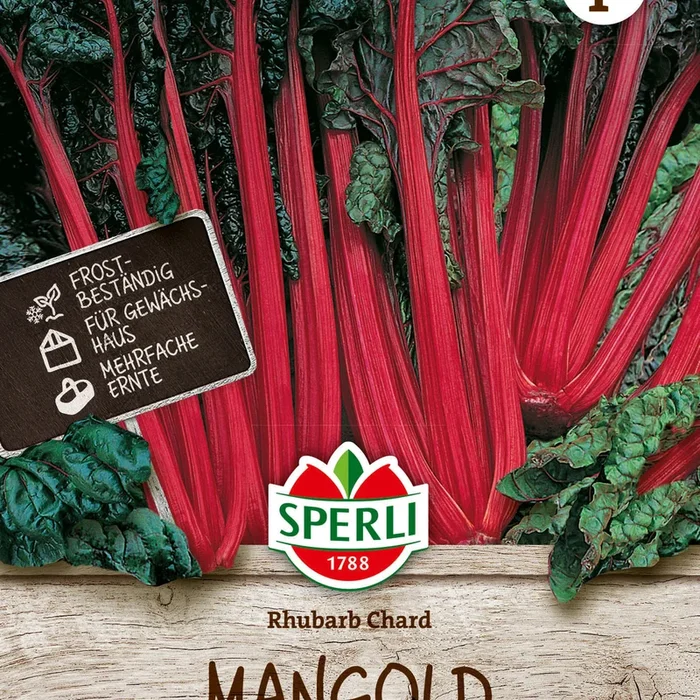 SPERLI Mangold Rhubarb Chard