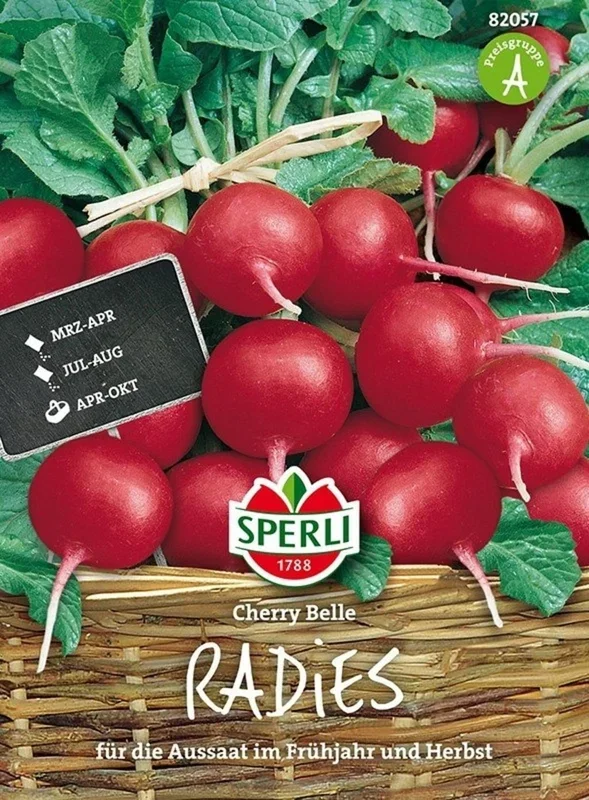 Sperli Radies „Cherry Belle“