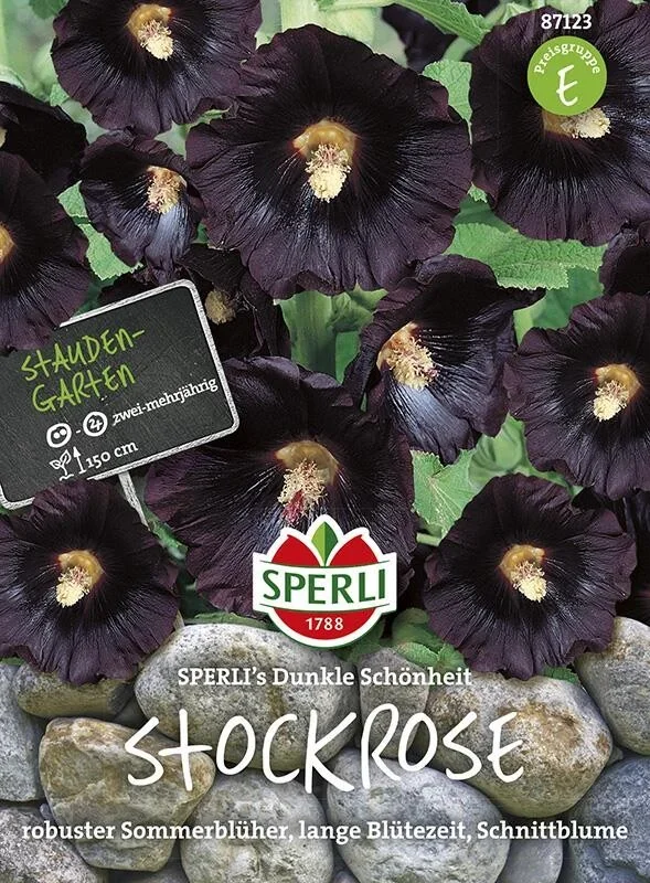 Sperli Stockrose Dunkle Schönheit | schnell wachsende Sorte mit ungefüllten Blüten | dunkler Farbton