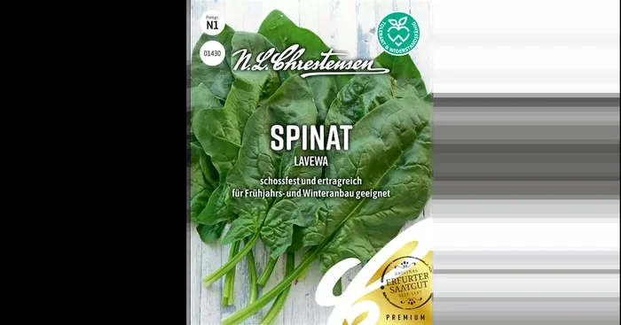 Spinat Lavewa