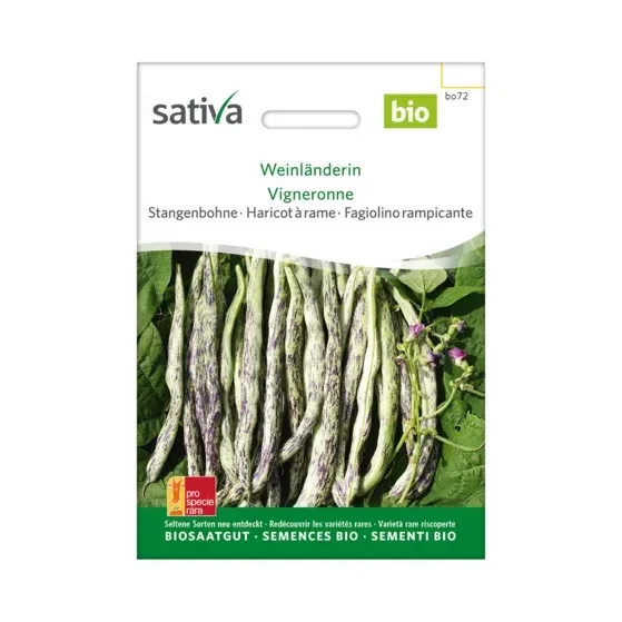 Stangenbohne Weinländerin Biosamen bo72