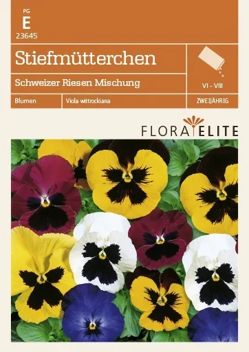Stiefmütterchen Schweizer Riesen Mischung