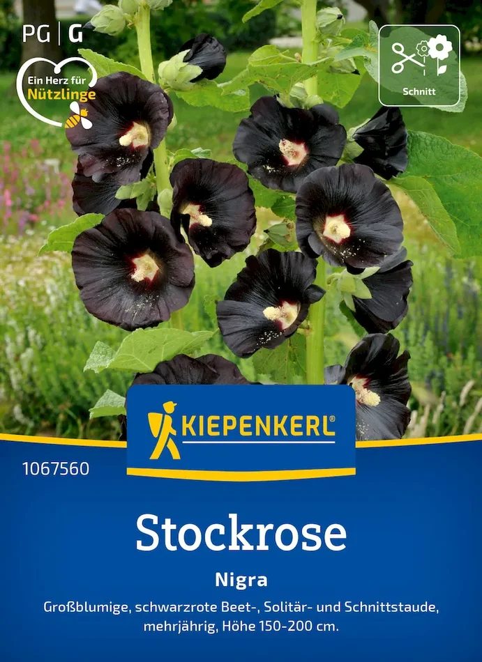 Stockrosensamen Nigra