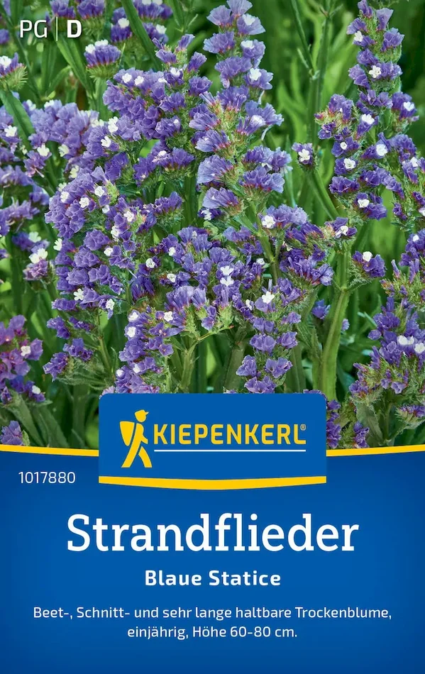 Strandfliedersamen Blaue Statice