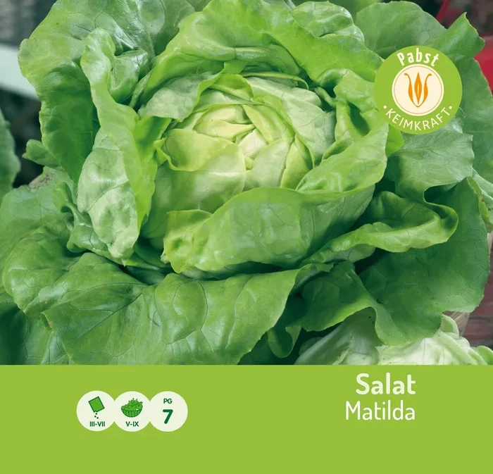 [STREICHUNG 2023] Salat Matilda [MHD 01/2021]
