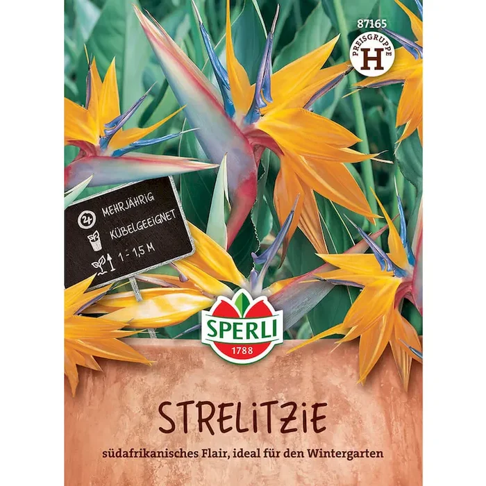 Strelitzie Bestellnummer 9944750