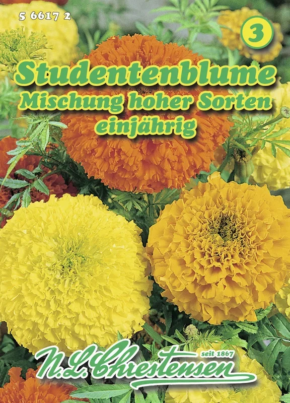 Studentenblume hoher Mischung [MHD 01/2025]
