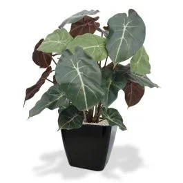 Syngonium Kunstpflanze 60cm