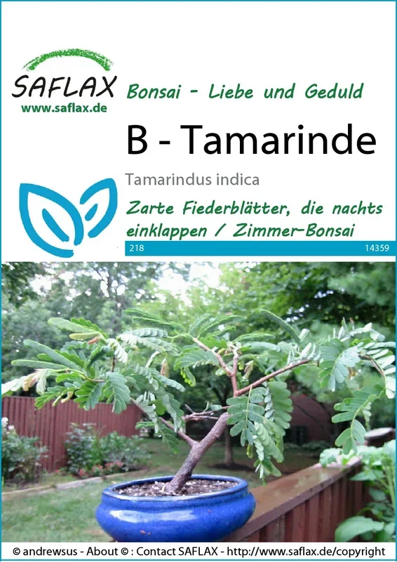 Tamarinde