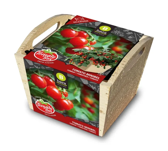 Tomatenbox Minibel [MHD 12/2025]