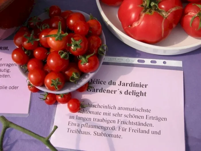 Tomatenvielfalt Bestsellerpaket
