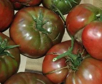 Tomato Black Truffle