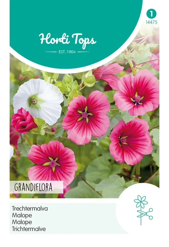 Trichtermalve Grandiflora Mischung [MHD 07/2024]