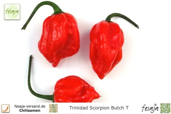 Trinidad Scorpion Butch Taylor · Chili · Samen